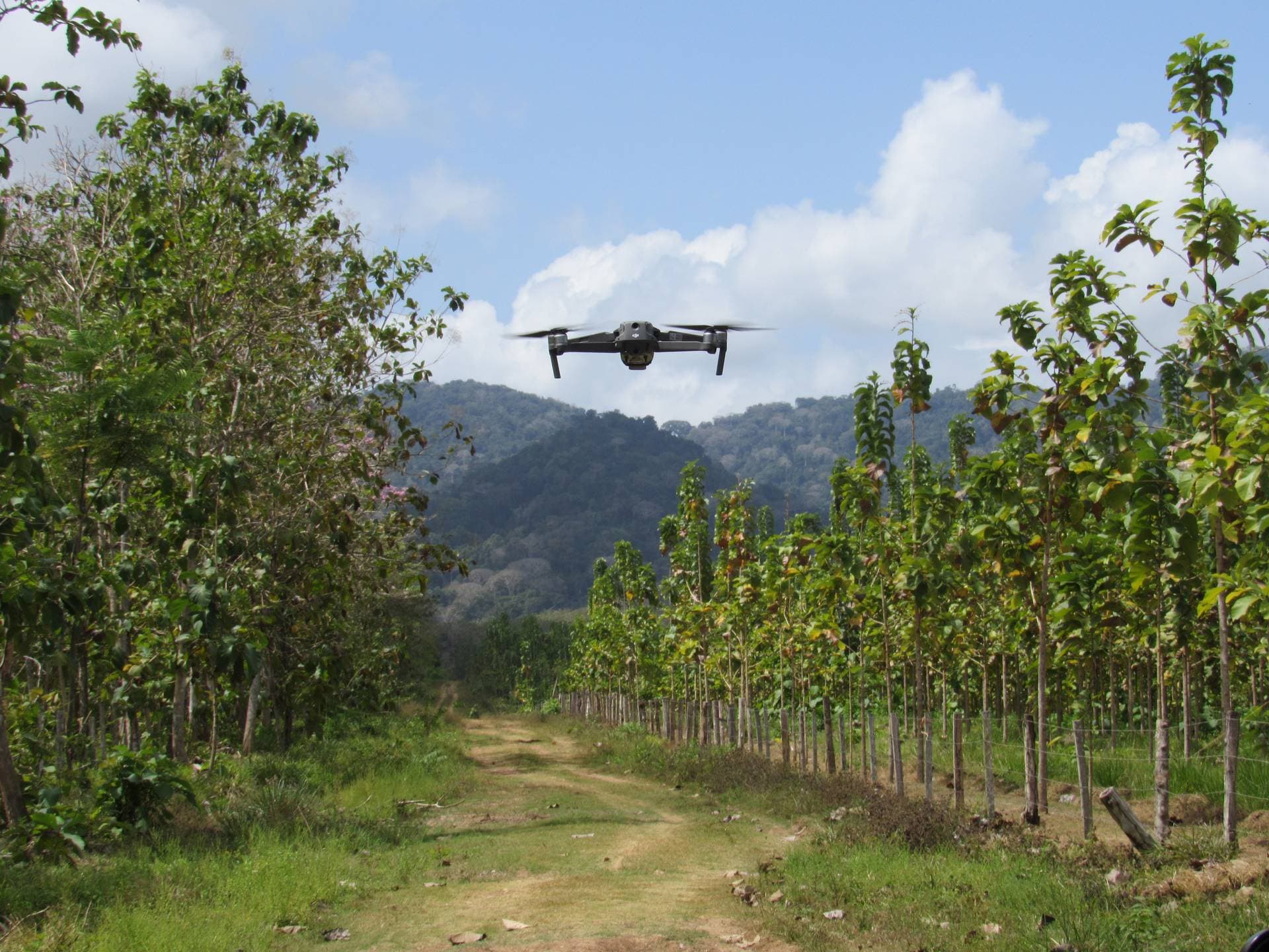 Drone sobrevolando un cultivo en campo abierto